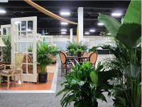Inscape Indoor Plant - Best Indoor Plant Provider  image 4
